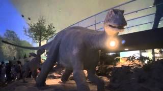 福井県立恐竜博物館(野外恐竜博物館も)JapanFukui Prefectural Dinosaur Museum