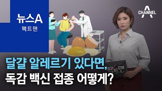 [팩트맨]달걀 알레르기 있다면, 독감 백신 접종 어떻게? | 뉴스A