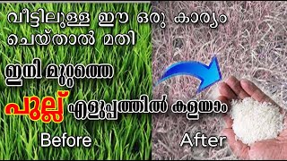 വീട്ടുമുറ്റത്തെ പുല്ല് പറിച്ച് മട്ക്കണ്ട ഇനി ഇങ്ങനെ ചെയ്താൽ മതി/grass remove simple/Malayalam/poppy