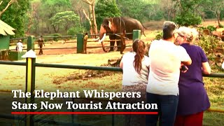 The Elephant Whisperers Stars Now Tourist Attraction After Oscar Win