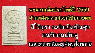 สมเด็จปรกโพธิ์ย้อนยุคปี 59 หลังพระแม่ธรณี