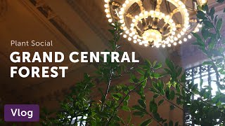 Grand Central Forest — Vlog 005