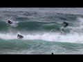 locals score glassy walls lennox point