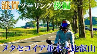 滋賀ツーリング後編【メタセコイア並木】【比叡山ドライブウェイ】【モトブログ】【CBR400R】【BOLT】【ドラッグスター400】