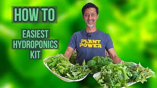 Best Hydroponics Garden Kit For Beginners | Grow During Quarantine