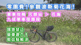 【零團費，參觀波斯菊花海】單車攻略 元朗站踩到花海 | 九成單車徑路段 | 航拍波斯菊花海 | 場地禁止單車進入！教你點解決 | 秋英 | 中文字幕