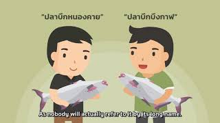 GI Thailand : ตั้งชื่อ GI อย่างไร ให้ประสบความสำเร็จ และขึ้นทะเบียนได้