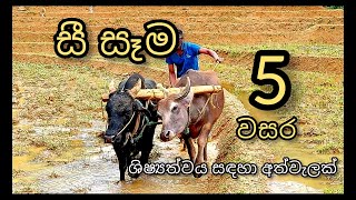 See Sama ,සී සෑම ,Traditional Farming