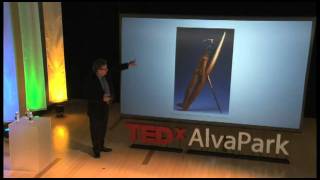 TEDx Alva Park VINCENZO IAVICOLI Innovation by Design