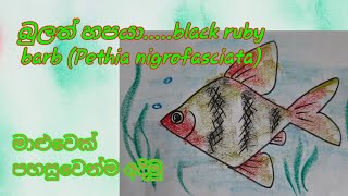 how to draw a fish very easily, art for kids, fish drawing, simple drawing, step by step