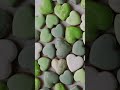 video of a green heart shape free stock video footage royalty free 4k u0026 hd video clip