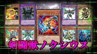 【遊戯王ADS】剣闘獣ノクシウス搭載型・剣闘獣【YGOPRO】 #遊戯王 #yugioh #遊戯王ADS #ygopro