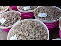 ตลาดมหาชัย ตลาดอาหารทะเลสด ขึ้นจากทะเลโดยตรง ขายราคาถูกมาก mahachai market 4k