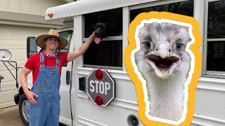 Stranded In the Rescue Bus. (New Farm Tour!)