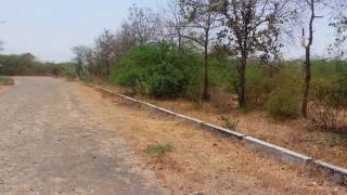 IndiaWarehousing.in / 11 Acres Industrial Land at Baska, Halol Highway