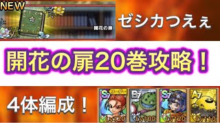 【ドラクエタクト】まさかの4体編成！？ゼシカが強過ぎて開花の扉20巻が余裕すぎる件について！【攻略動画】