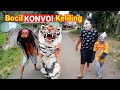 Wildan Konvoi keliling memakai can macanan singo Raung cilik