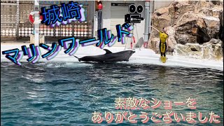 城崎マリンワールド　イルカ🐬アシカ🦭セイウチショー