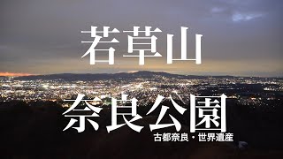 年末に世界遺産めぐりと若草山ハイキング