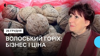 «В цьому році горіхів мало»: за скільки купують і продають волоські у Сумах