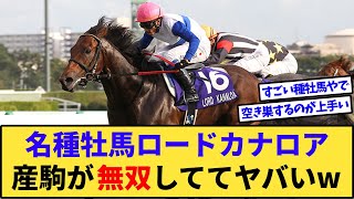 【競馬】令和の名種牡馬ロードカナロアさん、3週連続重賞Vでヤバいwww