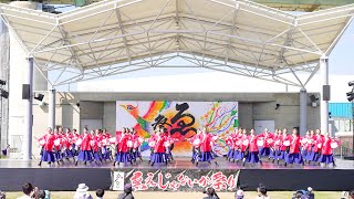 [4K] 京炎 そでふれ！京躍華　泉州YOSAKOIゑぇじゃないか祭り2022