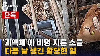 [단독] 판매상이 풀고 간 '괴액체'…\