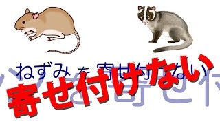 置くだけでネズミ・コクゾウムシを寄せ付けない（駆除・忌避・退治）「ねずみさんバイバイ」設置事例｜武蔵野市米屋