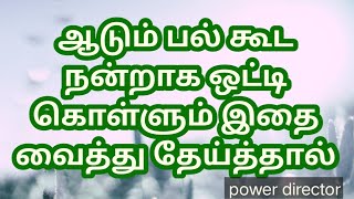 ஆடும்‌ பல் கூட‌ நன்றாக ஒட்டி கொள்ளும் இதை வைத்து தேய்த்தால்