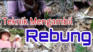 Teknik mencari Rebung