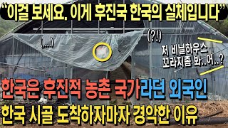 “아니, 한국은 후진적 농촌 국가 아니었어요?” 한국은 후진적인 농촌 국가라던 외국 명문대생, 한국 시골 농촌에 도착하자마자 경악한 이유