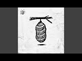 Bitter Fruit