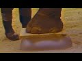 Best of Fight Back! With David Horowitz: 1987 