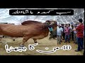 سب  کہدو  ماشا اللّه Karachi Ki Mandi Ma Aaya 40 Man Ka Heavy Bull |Cow Mandi |Cowvideo|#FQ #Short