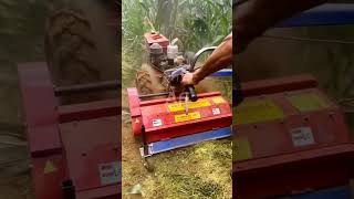 Mini Rotavator in Action #shorts #mini #rotavator #tractor #agriculture #machines #smallscale #farm