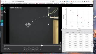 Using the video analysis software