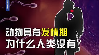 动物都有固定的发情期，人类为什么“没有”发情期？