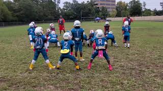 WFJ v Bills  - 6U