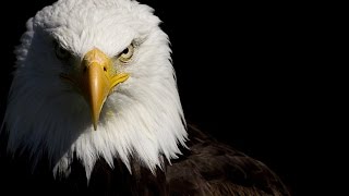 The Eagles "Lyin' Eyes" with Lyrics