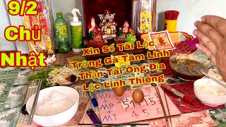 Xin Số Tài Lộc 9/2 Chủ Nhật Lộc Tâm Linh MN Thần Tài Ông Địa | Hoàn Thiện Official Xổ Số Minh Ngọc