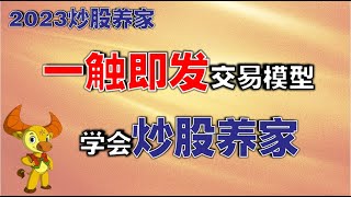 【2023炒股养家】一触即发交易模型，学会炒股养家   #技术分析   #技术分析教学  #k线  #赚钱