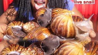 ASMR LIVE SNAIL EATING | India Live Snails Masala Curry | Cooking \u0026 Cleaning Snails Village Style