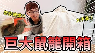 【維鼠日記】巨大鼠籠開箱!! 沒想到老鼠超愛?【維特】#15