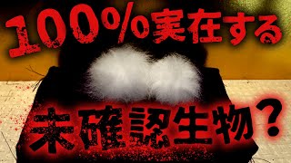 【都市伝説/未確認生物】ミステリー、自殺へと誘う植物...!? UMAケサランパサラン