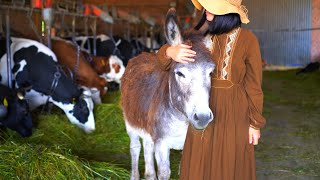 #12 Spring Farm🐴🌸A day to think about the lives of animals🐄🐐🐓🐂・・・🐣