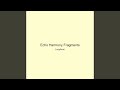 Echo Harmony Fragments