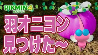 【ピクミン4】PIKMIN 羽オニヨンの場所【追憶の原生林】