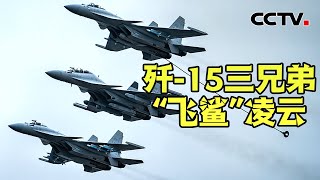 歼-35A 歼-20 “双剑合璧”，歼-15三兄弟“飞鲨”凌云，空中视角看运油-20飞行表演  20241117 | CCTV中文《第十五届中国国际航空航天博览会特别报道》