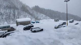 ホワイトピアたかす平日の駐車場1月6日8時28分〜