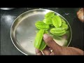 ஸ்டார் ஃப்ரூட் வளர்ப்பது எப்படி how to grow star fruit in home garden easily